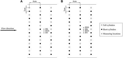Longitudinal velocity profile of flows in open channel with double-layered rigid vegetation